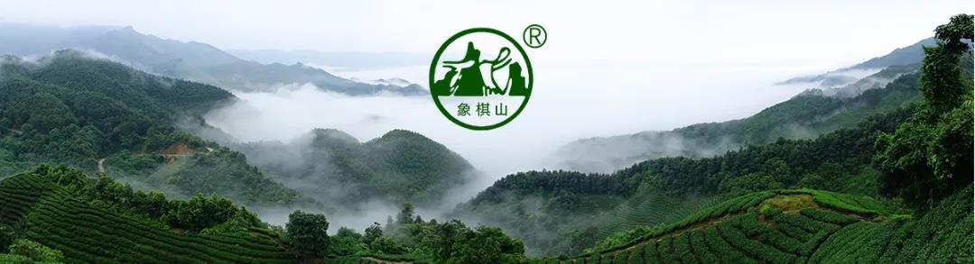 【每周優(yōu)品】原始生態(tài)，自然有機(jī)——象棋山有機(jī)茶