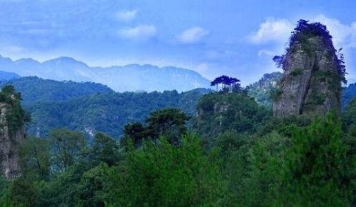 【展商風(fēng)采】來四川廣元品劍門關(guān)土雞，嘗高山露地好蔬菜巴適得很！