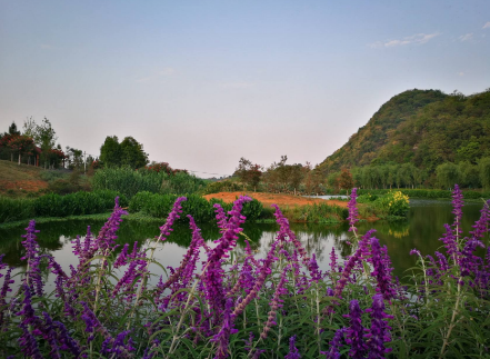 硯山：“旅游+扶貧”，好風(fēng)景帶來好“錢景”