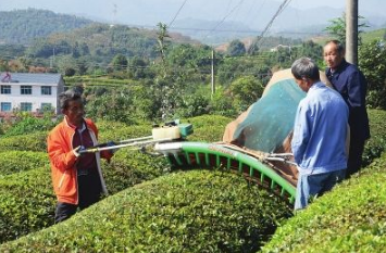 我國果菜茶生產機械化正加快推進